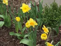 DSCF0066.webp