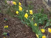DSCF0067.webp