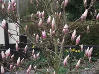 DSCF0071.webp