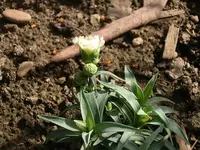 IMGP0139.webp