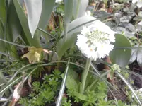 P030411_17.43.webp