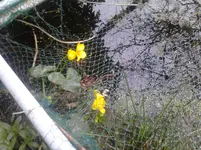 P030411_17.42.webp