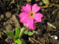 IMG_1645_1067x800.webp