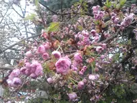 P030411_17.51.webp