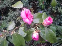 P030411_17.50.webp