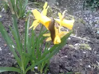P030411_17.48.webp
