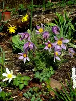 SDC13281.webp