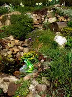 SDC13285.webp