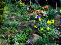 SDC13288.webp