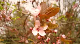 2011 04 07 044.webp