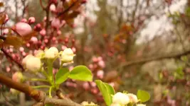 2011 04 07 058.webp