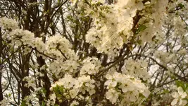 2011 04 07 069.webp
