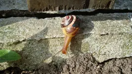 2011 04 07 027.webp
