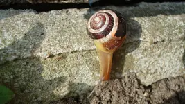 2011 04 07 030.webp