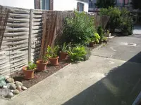 IMG_6035.webp IMG_6035.webp