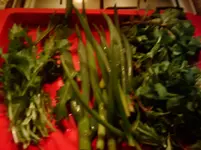 IMAG0077.webp