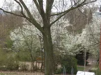 DSCF2143.webp