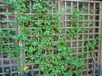 2011 04 07 003.webp