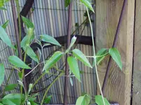 2011 04 07 004.webp