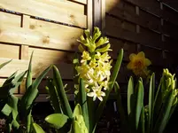 2011 04 07 011.webp