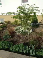 vorgarten2.webp