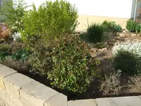vorgarten3.webp