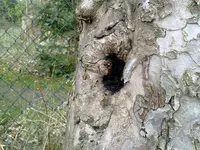 07042011540.webp