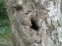 07042011542.webp