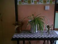 Bunapflanze.webp