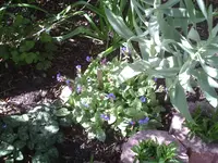 Licht und Schatten2.8.4.2011.webp