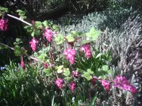 Licht und Schatten3.8.4.2011.webp