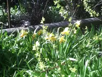Licht und Schatten5.8.4.2011.webp