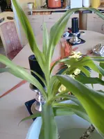 P1449_08-04-11.webp