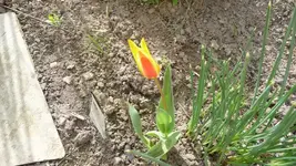 K800_8.4.2011 114.webp