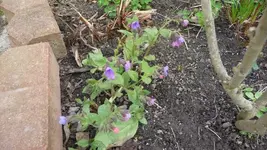 K800_8.4.2011 127.webp