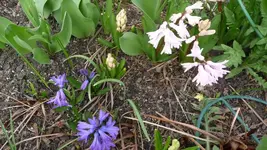 K800_8.4.2011 128.webp
