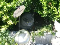 DSCF5158.webp
