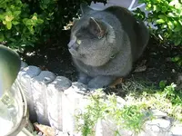 DSCF5159.webp