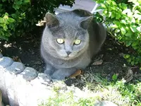 DSCF5160.webp