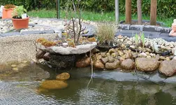 ca 25 cm Wasser abgelassen_klein.webp