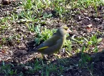 088.webp