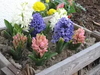 IMG_8641.webp