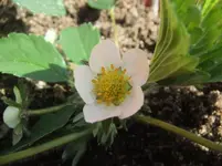 DSCF2606.webp