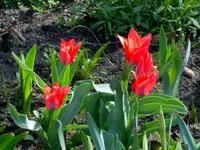 SDC13307.webp