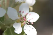 026.webp