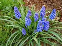 006.webp