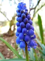 009.webp