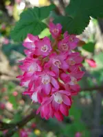 026.webp