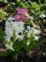 028.webp