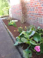 IMG_3743.webp